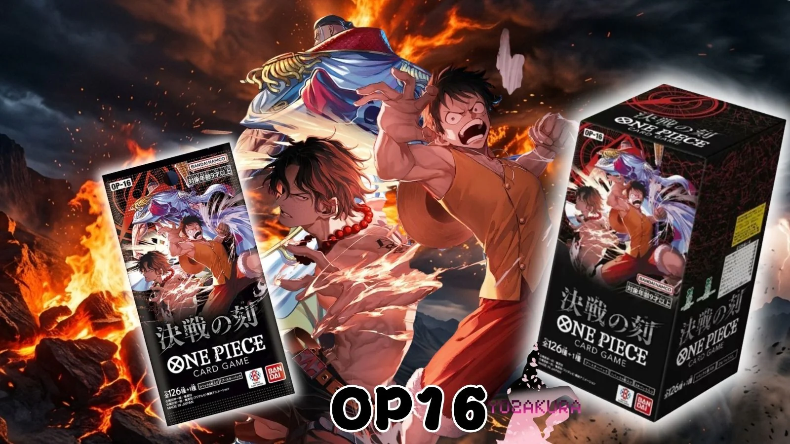 Your Gateway to Authentic TCGs